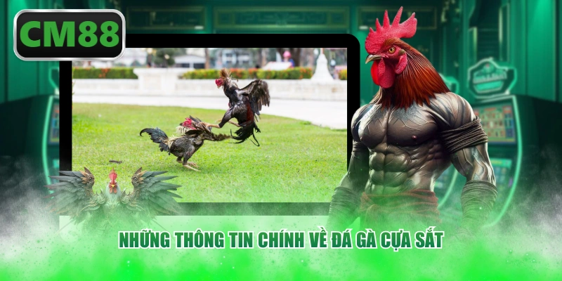 Những thông tin chính về đá gà cựa sắt